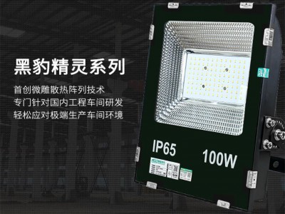 泛光燈、LED泛光燈，泛光燈100瓦